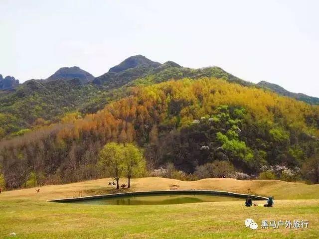 绿色消费进行时 海信激光电视站上绿色消费风口